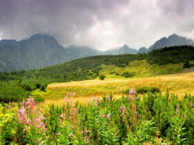 High tatras nature