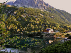 Zelene pleso
