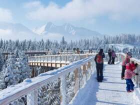 1 treetop walk winter high tatras
