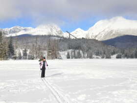 2 cross country skiing