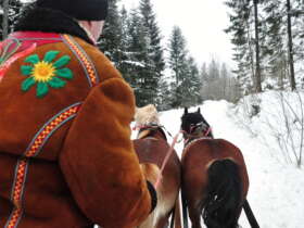 2 horse carriage ride tatras