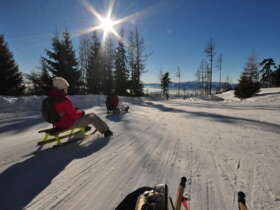 3 sledding high tatras hrebienok