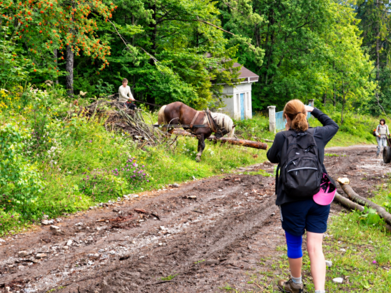 5 hiking belianske tatras 1