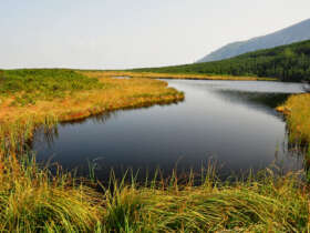 Fauna flora high tatras hiking slovakia 3