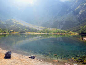 Fauna flora high tatras hiking slovakia 4