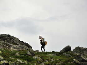 Fauna flora high tatras hiking slovakia 5