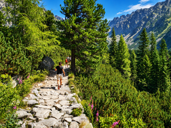 05 hiking high tatras trekking 2