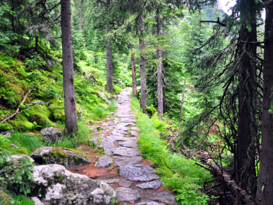 06 hiking high tatras point to point 1