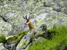 High tatras hiking walking trekking slovakia 10