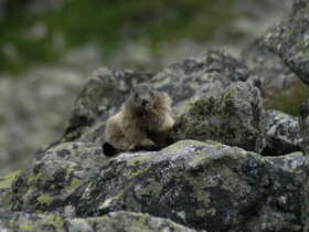 High tatras hiking walking trekking slovakia 12