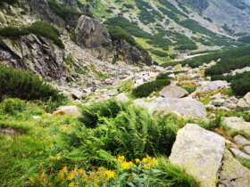 High tatras hiking walking trekking slovakia 4