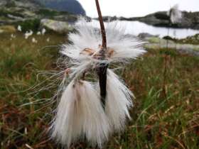 High tatras hiking walking trekking slovakia 5