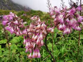 High tatras hiking walking trekking slovakia 7
