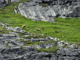 High tatras hiking walking trekking slovakia 9