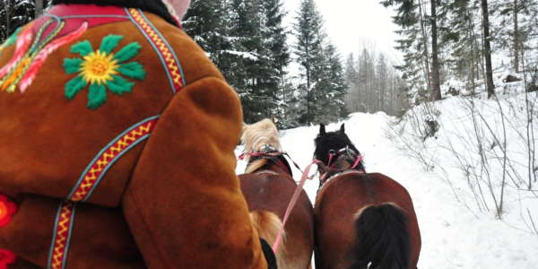 1 Zdiar Horse Sleigh Ride 11