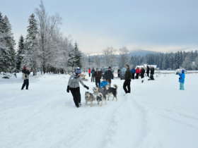 Dog Sledding Tatra Mountains Slovakia 1