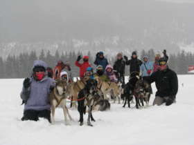 Dog Sledding Tatra Mountains Slovakia 4