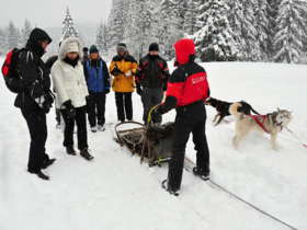 Dog Sledding Tatra Mountains Slovakia 5